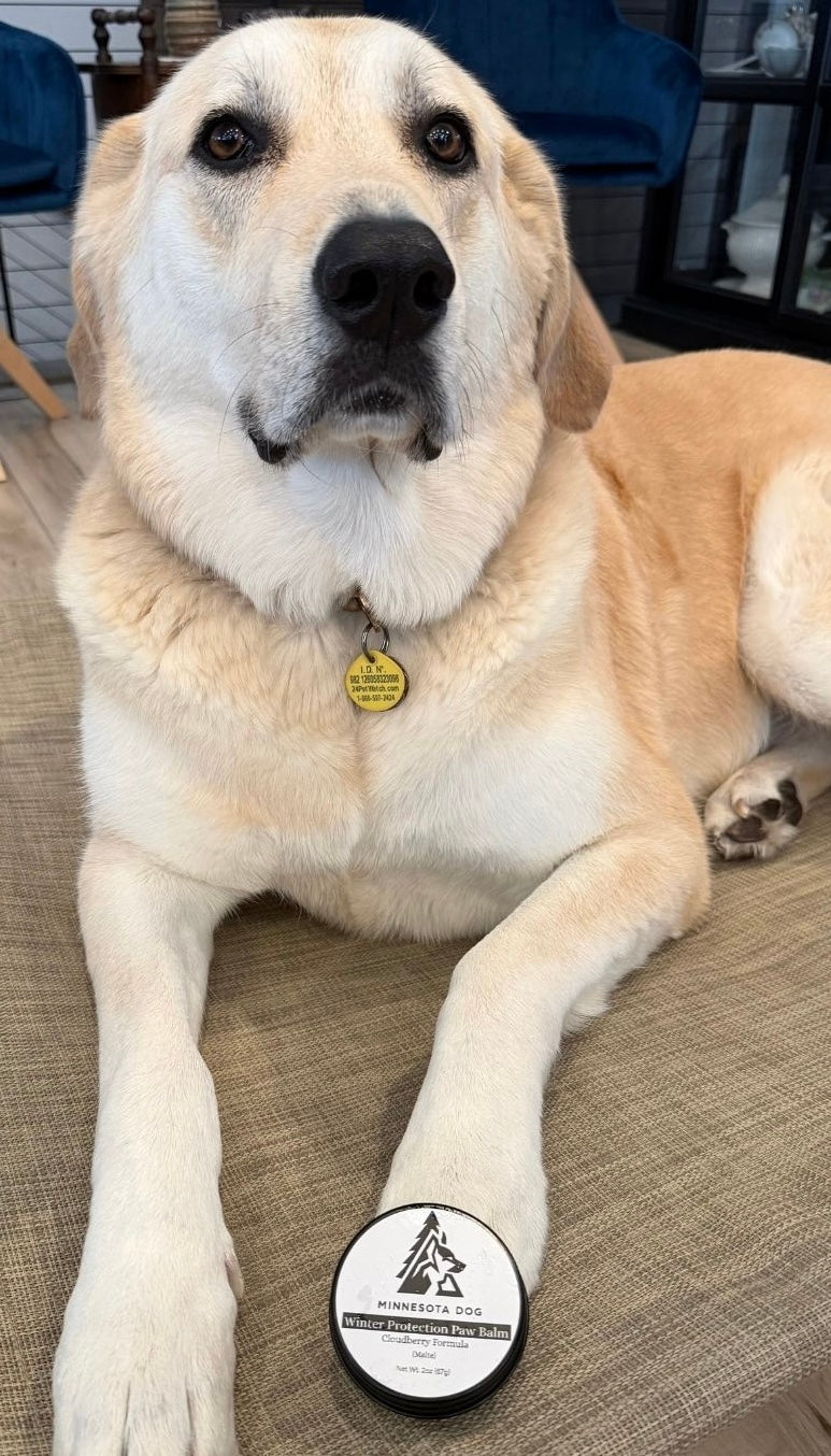 Minnesota Dog™ Overbuilt Paw Balm | Nordic Cloudberry