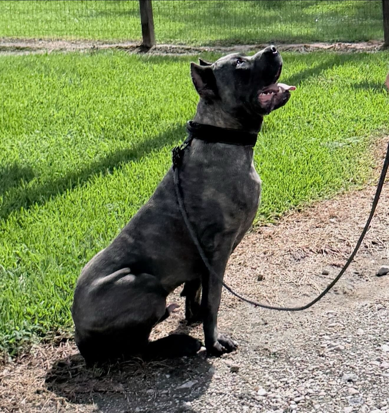 NORTHBOUND™ 5 foot LEASH